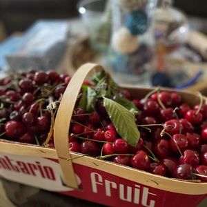 Meet your Posher, Arlene